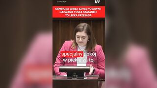 ''To szatan''. Gembicka zakpiła z Hołowni. Oberwało się Tuskowi