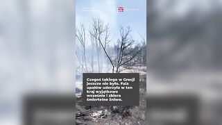 Upały i pożary w Grecji