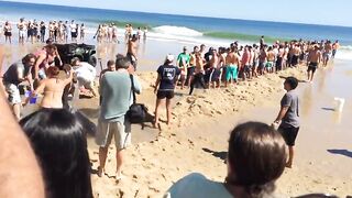 Spektakularna akcja ratowania żarłacza białego, który utknął na plaży