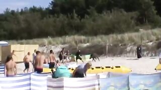 Dzik atakuje ludzi na plaży