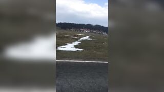 Szalony wyścig z jeleniem