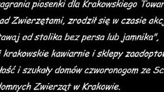 PODARUJ 1 procent na ZWIERZAKI - Nikt nas nie pytał